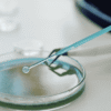 RT-PCR Test Understanding Accurate Molecular Testing and Its Importance