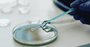 RT-PCR Test Understanding Accurate Molecular Testing and Its Importance