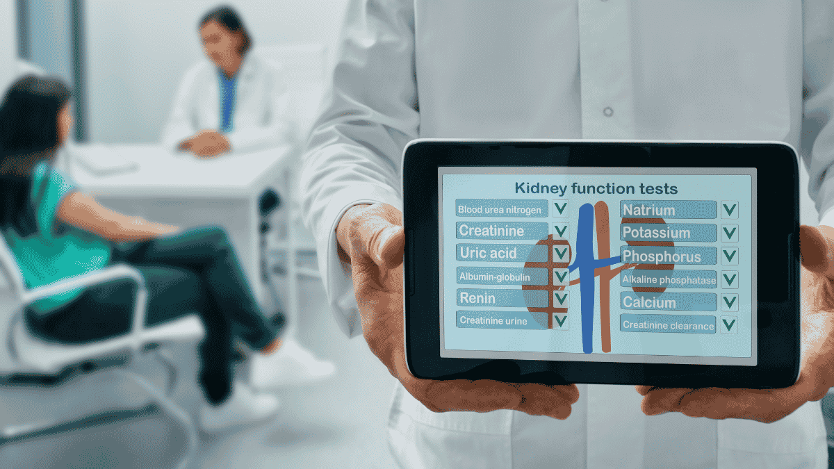 How Kidney Function Tests Monitor Your Kidney Health