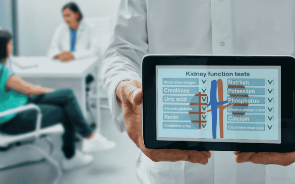 How Kidney Function Tests Monitor Your Kidney Health